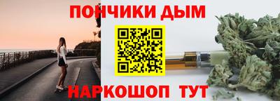 spice Гатчина