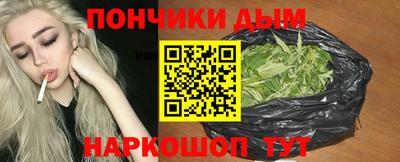 spice Гатчина