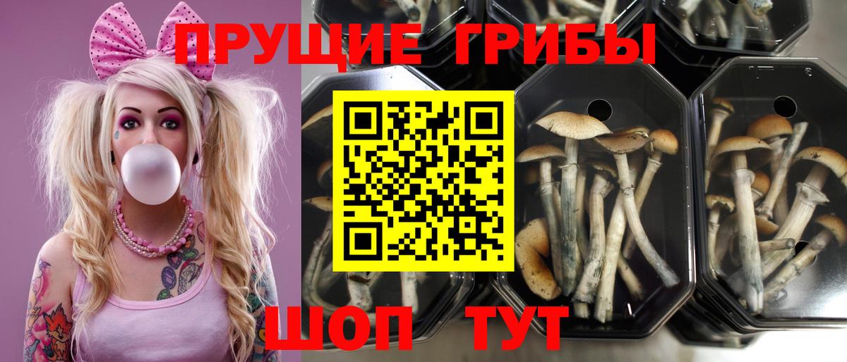 Галлюциногенные грибы мухоморы Набережные Челны
